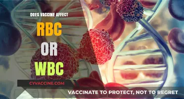 Vaccines and Blood Cells: Impact on RBCs and WBCs Explained