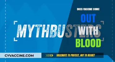 Vaccines and Blood: Debunking Myths About Vaccination Side Effects