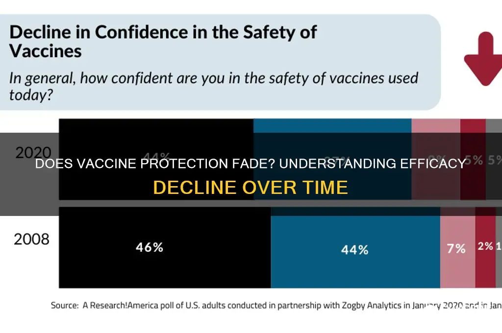 does vaccine efficacy decline over time
