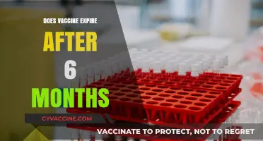 Do Vaccines Expire After 6 Months? Facts and Myths Explained