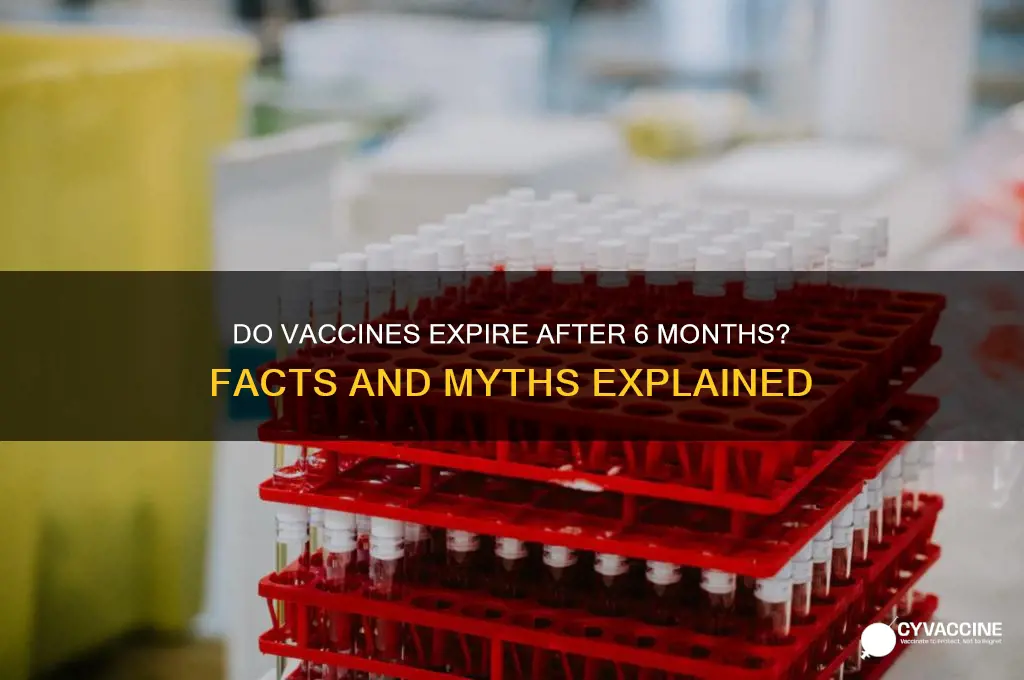 does vaccine expire after 6 months