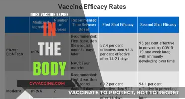 Do Vaccines Expire in Your Body? Understanding Immunity Duration