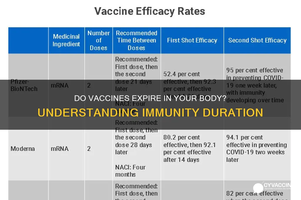 does vaccine expire in the body