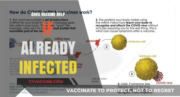Vaccine Benefits Post-Infection: Does It Still Help If Already Infected?