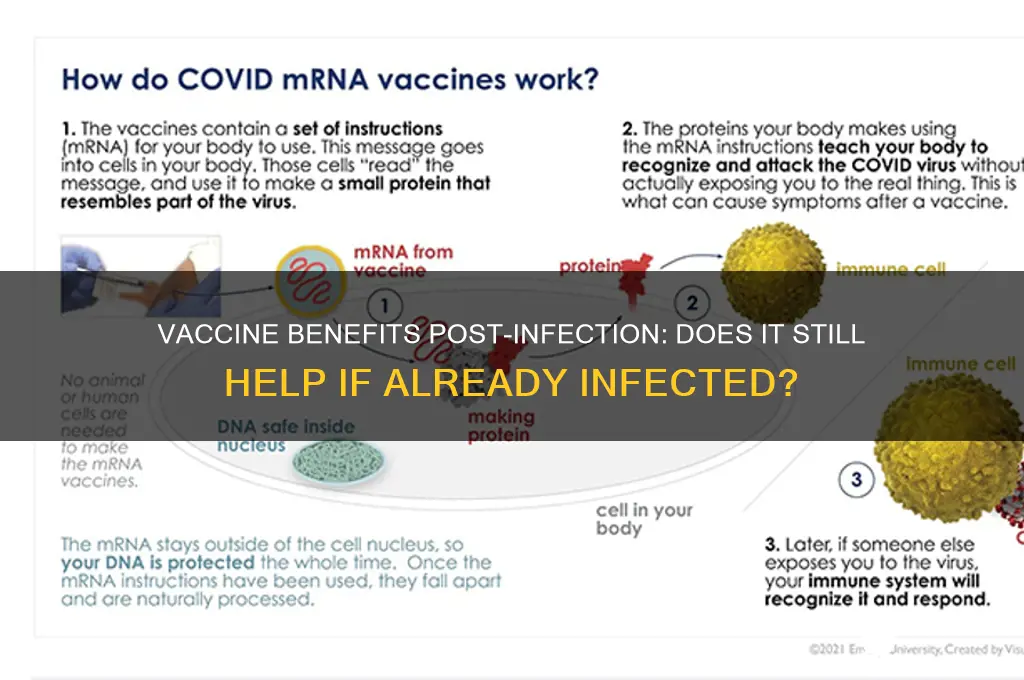does vaccine help if already infected