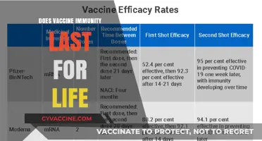 Vaccine Immunity: Lifelong Protection or Temporary Shield? Exploring the Facts