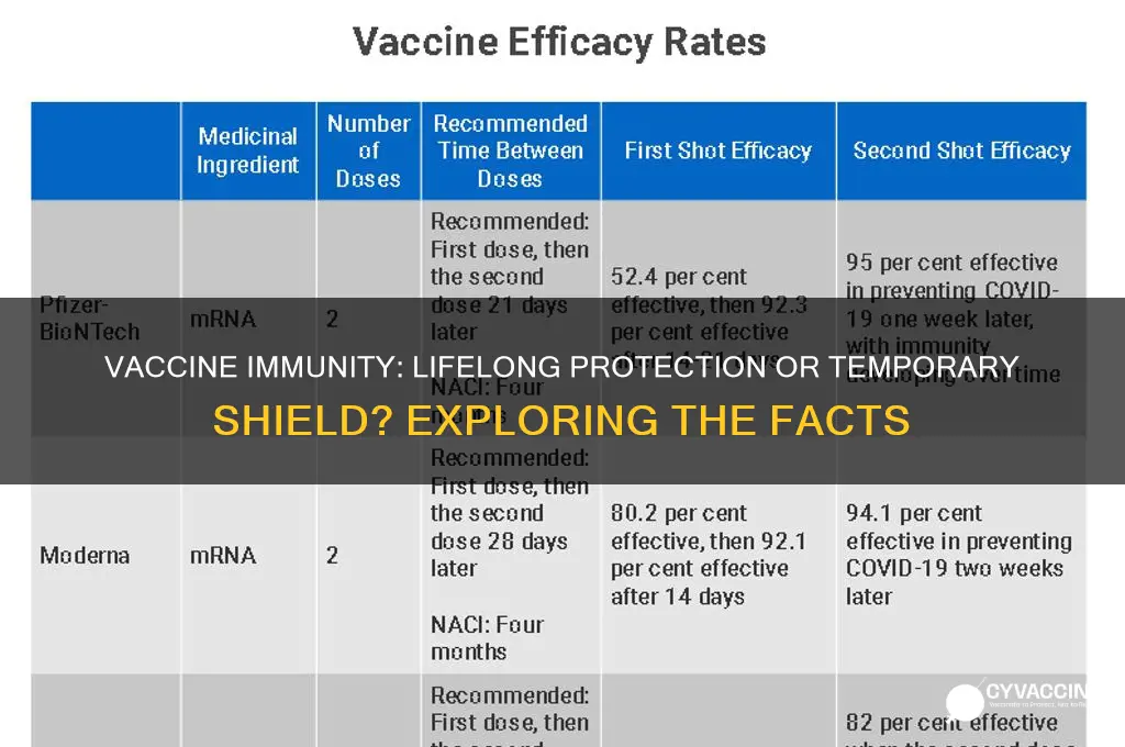 does vaccine immunity last for life