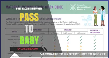 Can Vaccine Immunity Be Passed from Mother to Baby?