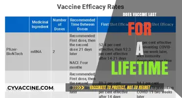 Do Vaccines Provide Lifelong Immunity? Exploring Duration and Boosters