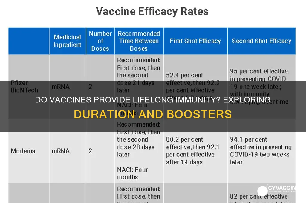does vaccine last for a lifetime