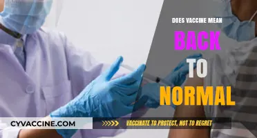 Vaccines and the New Normal: What to Expect Post-Pandemic