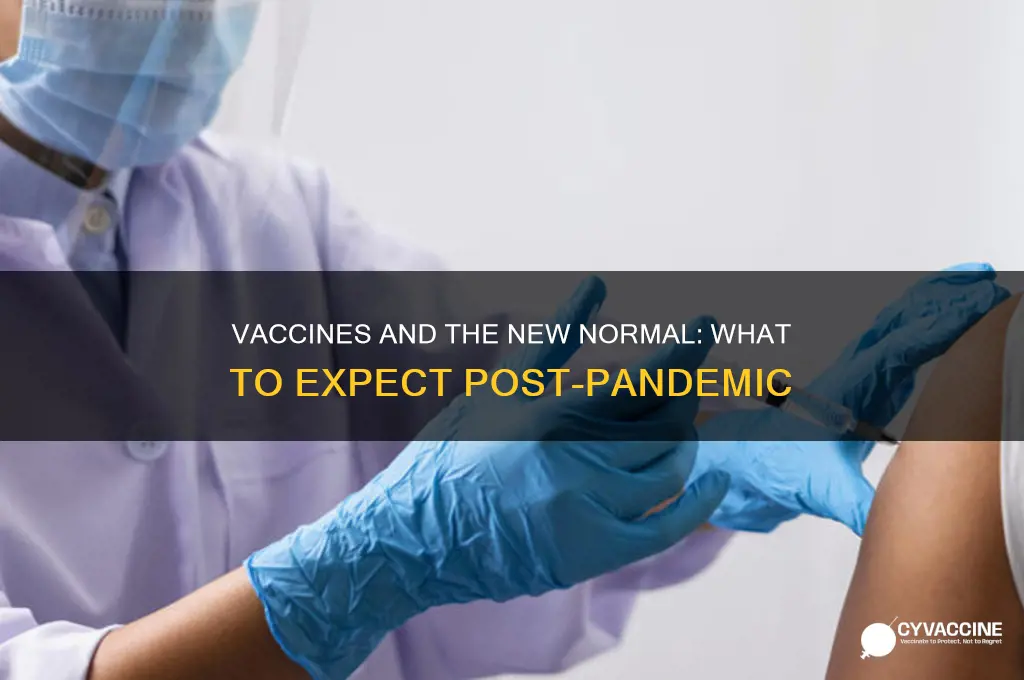 does vaccine mean back to normal