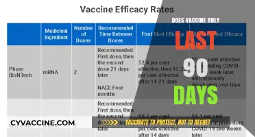 Vaccine Duration: Debunking the 90-Day Immunity Myth and Facts