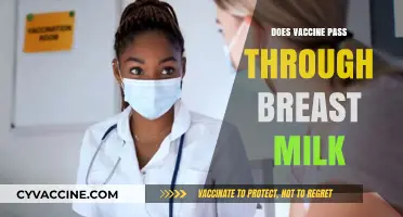 Vaccines and Breast Milk: What Nursing Moms Need to Know