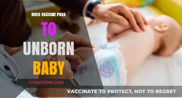 Can Vaccines Safely Protect Unborn Babies? What Expecting Parents Need to Know