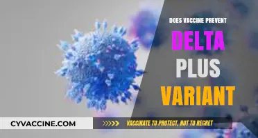 Does the COVID-19 Vaccine Protect Against the Delta Plus Variant?