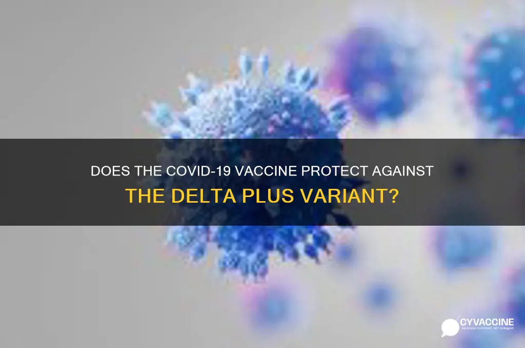 does vaccine prevent delta plus variant