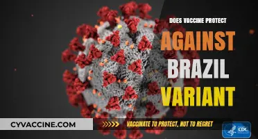 Brazil Variant: How Effective Are Current Vaccines in Protection?