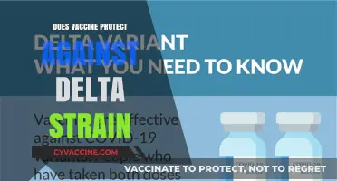 Vaccine Efficacy Against Delta Strain: What You Need to Know
