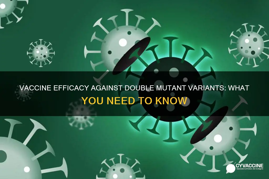does vaccine protect against double mutant