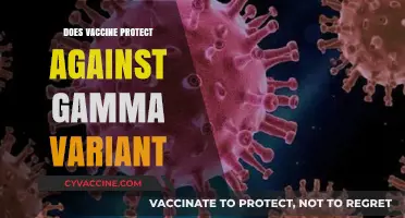 Does the COVID-19 Vaccine Offer Protection Against the Gamma Variant?