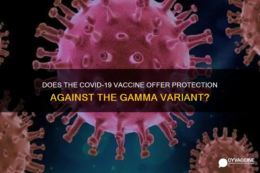 does vaccine protect against gamma variant