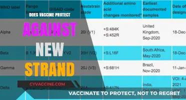 Do Vaccines Shield Against Emerging COVID-19 Variants? What We Know
