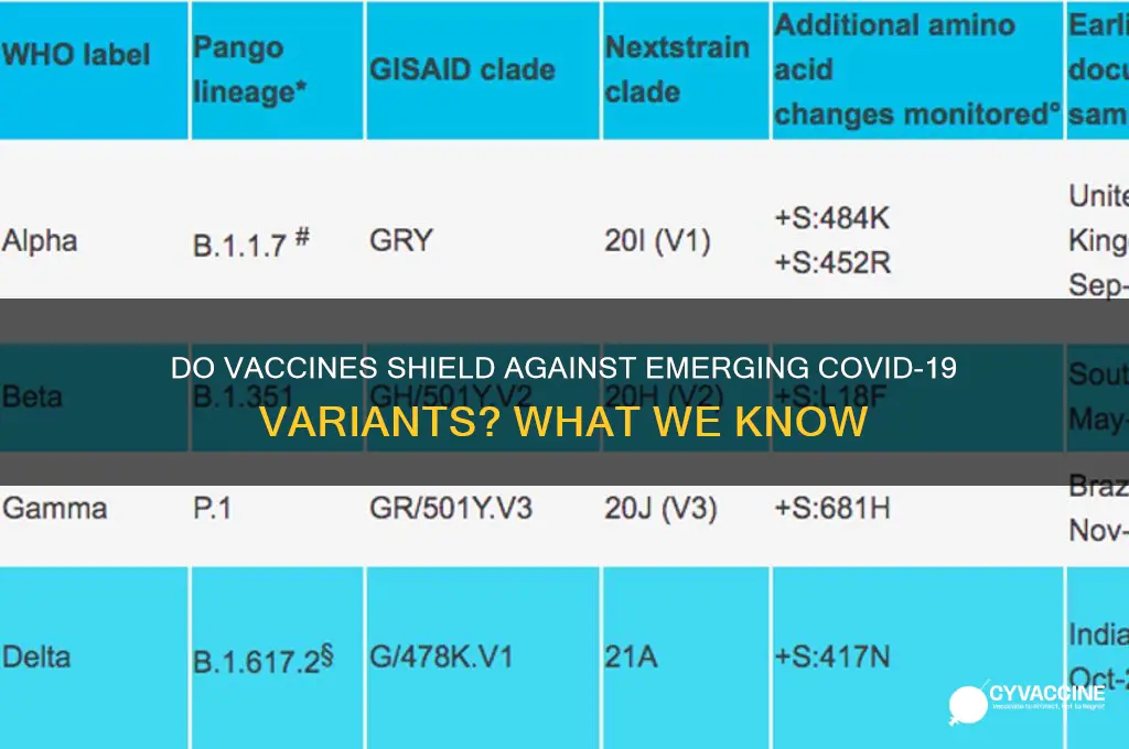 does vaccine protect against new strand