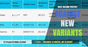 Do Vaccines Still Protect Against Emerging COVID-19 Variants?