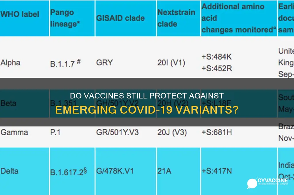 does vaccine protect against new variants