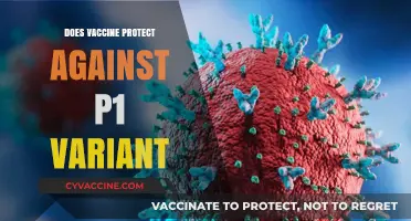 Does the COVID-19 Vaccine Protect Against the P1 Variant?