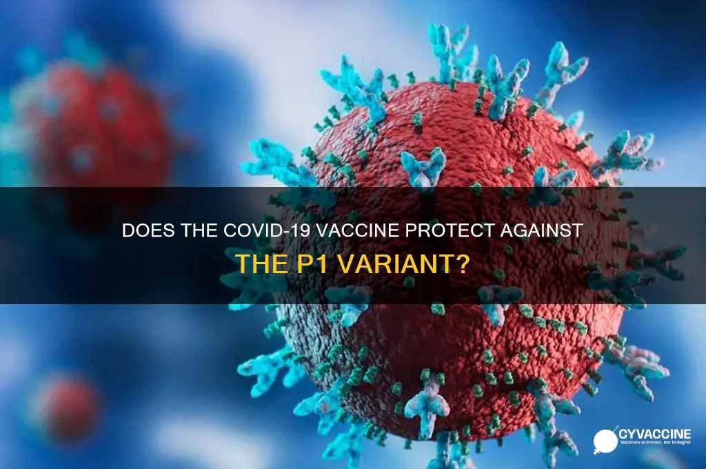 does vaccine protect against p1 variant