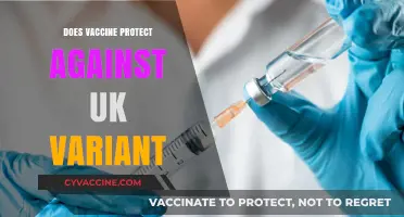 Does the COVID-19 Vaccine Protect Against the UK Variant?