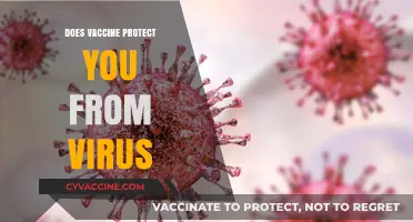 Do Vaccines Truly Shield You from Viral Infections?