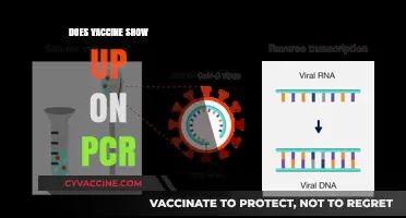 Do Vaccines Affect PCR Test Results? Unraveling the Connection