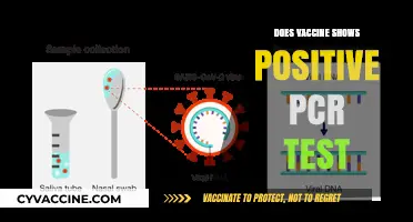 Can Vaccines Cause Positive PCR Tests? Debunking Myths and Facts