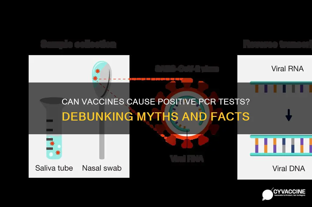 does vaccine shows positive pcr test