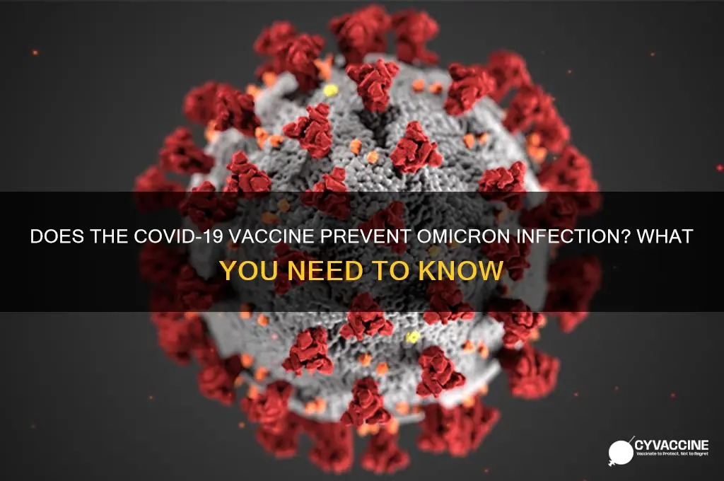 does vaccine stop you catching omicron