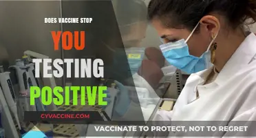 Vaccines and COVID Tests: Can Vaccination Prevent Positive Results?