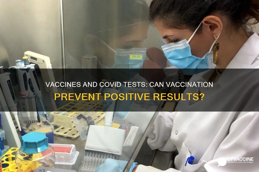 does vaccine stop you testing positive