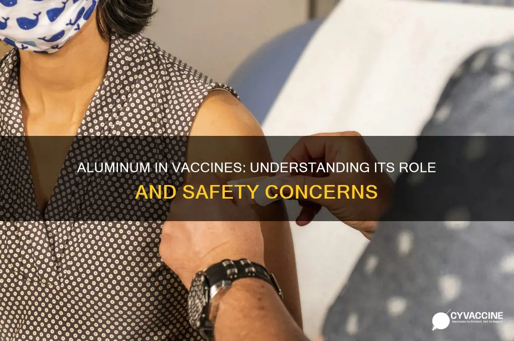 does vaccines have aluminum in them