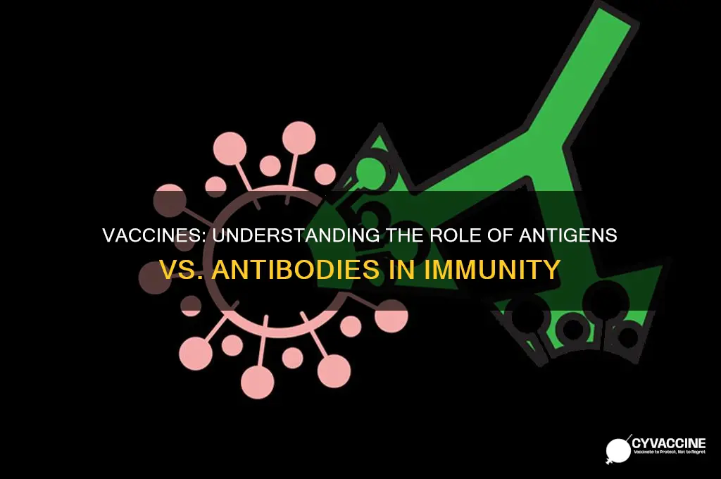 does vaccines have antigens or antibodies