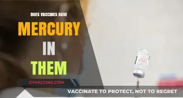 Do Vaccines Contain Mercury? Separating Fact from Fiction in Immunizations