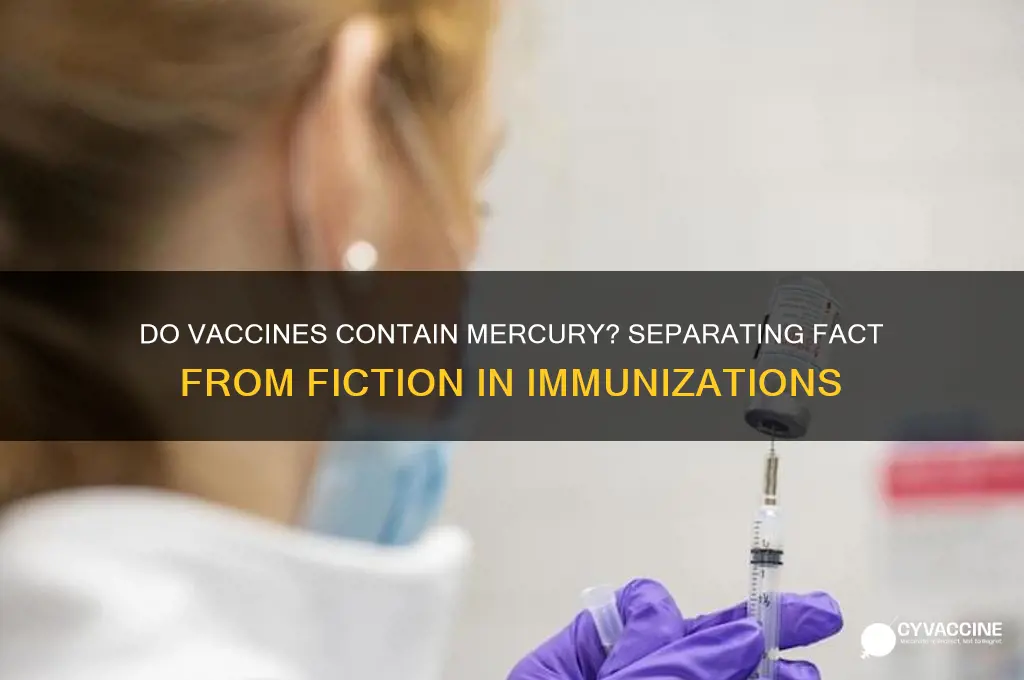 does vaccines have mercury in them