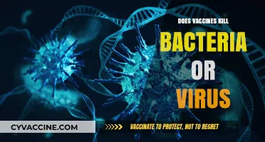 Vaccines: Targeting Viruses, Not Bacteria – Understanding Their Mechanism