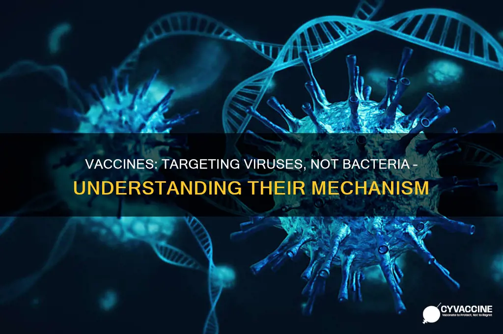 does vaccines kill bacteria or virus