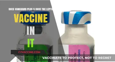 Does Vanguard Plus 5 Include Lepto Vaccine? A Detailed Look