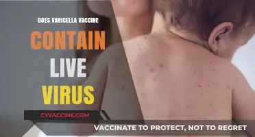 Does the Varicella Vaccine Contain Live Virus? Facts Explained