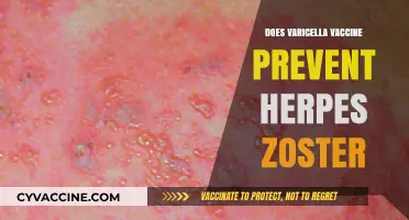 Varicella Vaccine: Does It Protect Against Herpes Zoster Too?