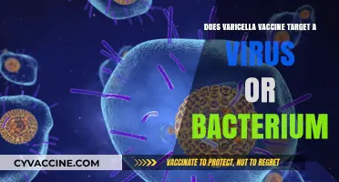 Varicella Vaccine: Targeting Virus, Not Bacterium, for Effective Immunity